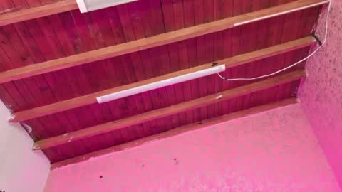 Sofia online show from November 14, 3:17 am