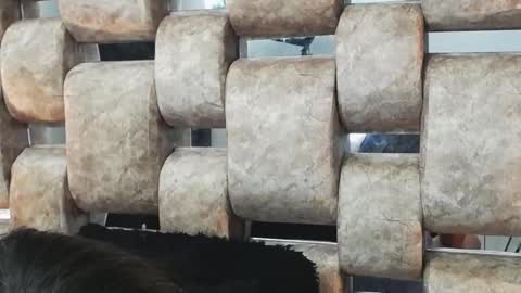 Sofia online show from December 7, 11:40 am