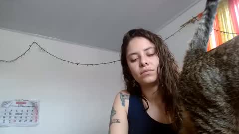 Sofia online show from December 22, 6:37 pm