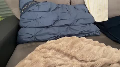 Tayla online show from February 28, 11:09 am