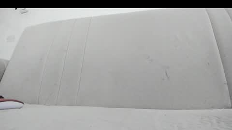 sophia_fox420 online show from February 20, 6:26 am