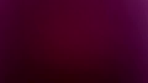 suly online show from November 3, 5:00 am