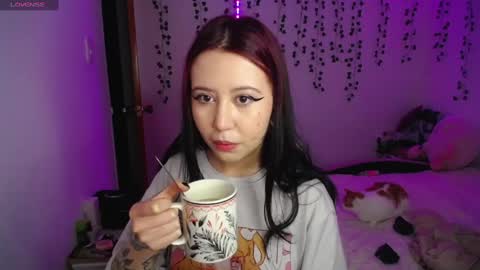 Sunset online show from January 21, 11:34 pm