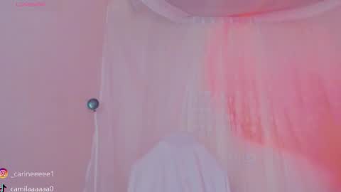 camil online show from January 8, 1:48 pm