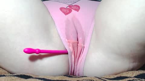 Kitten online show from April 5, 7:40 am