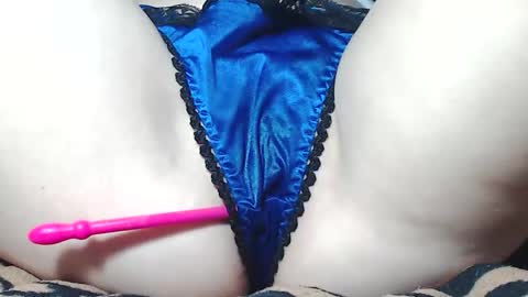 Kitten online show from February 26, 8:35 am