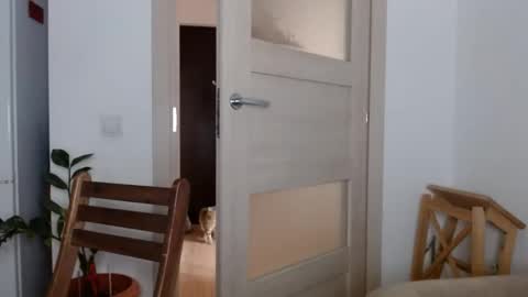 Diana online show from March 2, 12:42 am