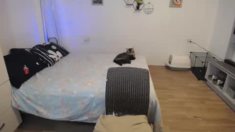 Snapshot of sweetcuteangel chatting on December 23, 12:19 pm angel 3 online show from December 23, 12:19 pm