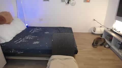 Snapshot of sweetcuteangel chatting on January 29, 11:41 am angel 3 online show from January 29, 11:41 am