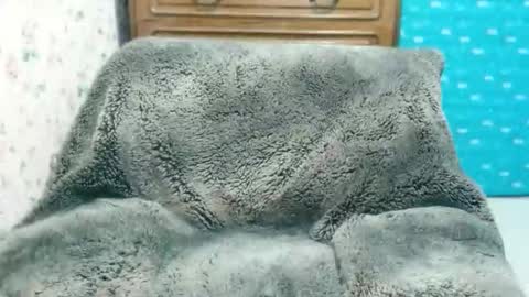 jona online show from November 7, 12:38 am