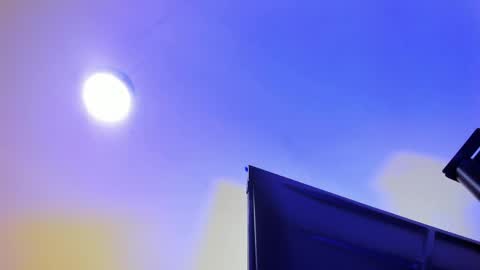 Sweet Annie online show from April 13, 11:33 am