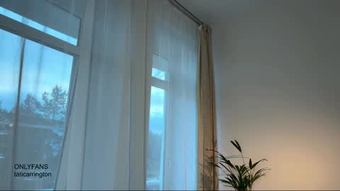 Tata online show from November 16, 5:09 am