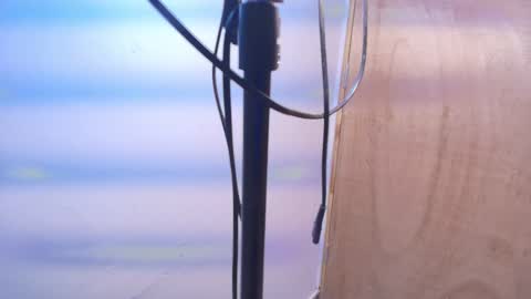 Terra Elowen online show from February 20, 11:23 am