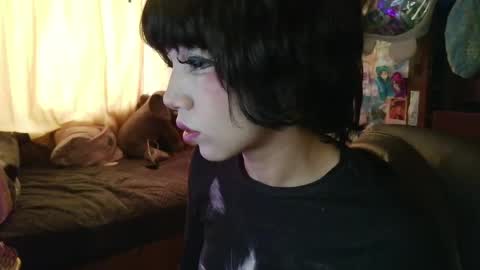 Terra Elowen online show from April 9, 1:38 pm