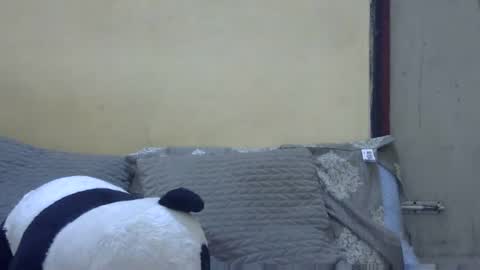 Tokyo online show from October 29, 6:40 am