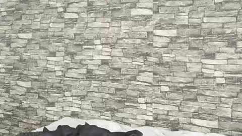 Tokyo online show from January 5, 7:39 pm