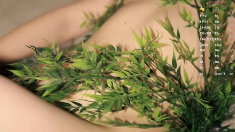 Toshi online show from December 1, 1:03 pm