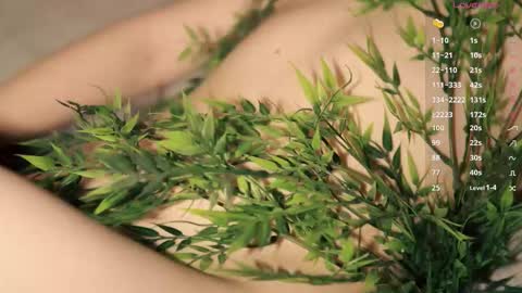 Toshi online show from December 17, 1:04 pm