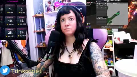 Trin Kat pet online show from February 17, 6:29 pm