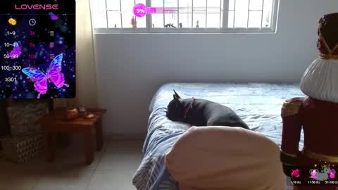 Kitty online show from December 22, 7:50 pm