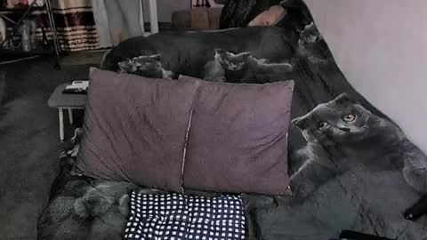 Lana online show from March 20, 11:31 pm