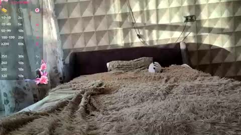 Mila here  online show from August 8, 3:42 pm