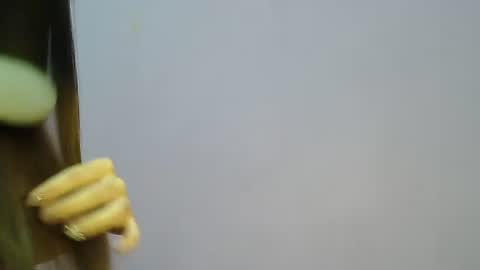 Jane online show from February 1, 2:05 pm