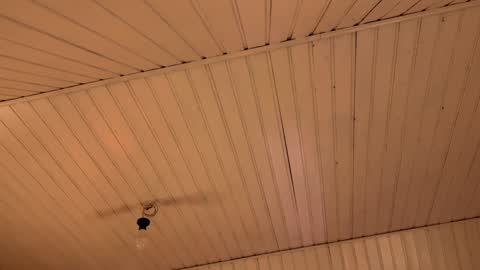 Anika On vacation online show from February 15, 4:39 pm