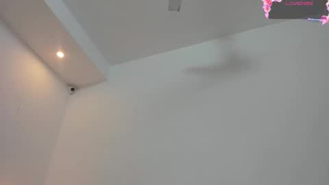 Snapshot of vainilla_heart chatting on October 20, 2:58 am vainilla_heart online show from October 20, 2:58 am