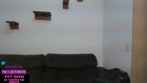  Crystal         PVT OPEN online show from September 20, 5:50 am