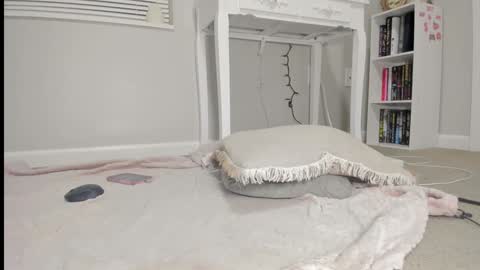 Harley   instahailharleyy online show from March 6, 3:45 am