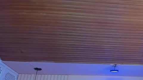 Viiolett online show from October 1, 8:25 pm