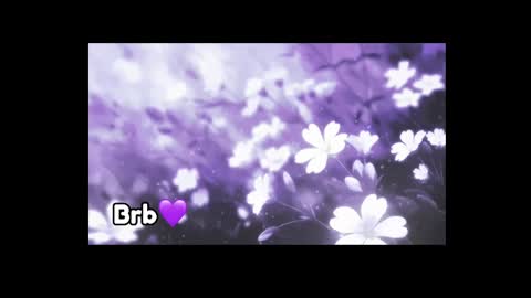 Violeta online show from January 6, 2:03 pm