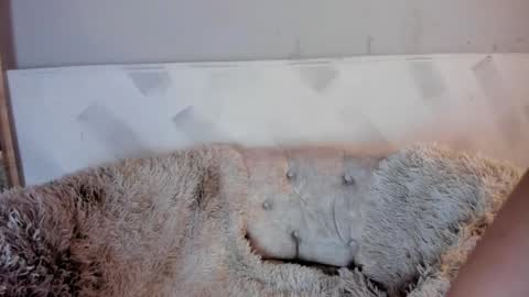 violetwinters_ online show from April 14, 8:14 am