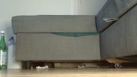 wet_pants2022 online show from October 10, 5:40 pm