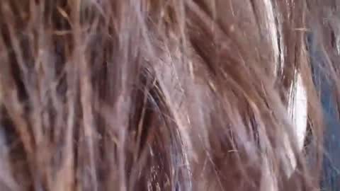 witchbitchmommy online show from April 14, 3:34 pm