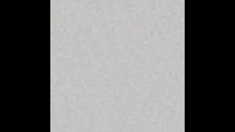 xmalxpalx5555 online show from October 8, 8:29 am