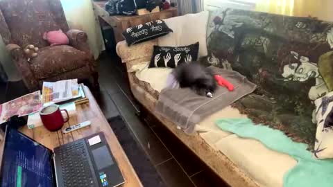 yanyanpixie online show from December 22, 4:21 pm