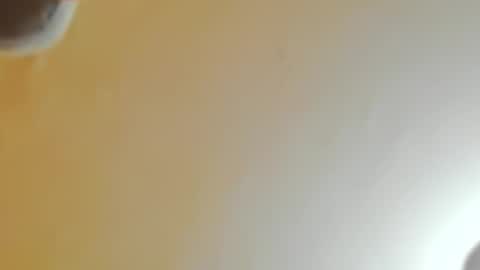 yonnsol_avril online show from April 4, 7:45 pm