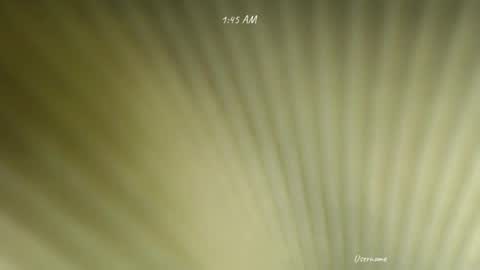 your_cum_princess online show from February 15, 5:45 pm