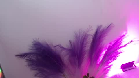 Sam Make me wet please  online show from April 16, 10:45 pm