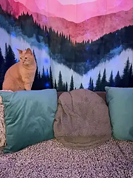 ItsDanniG online show from March 10, 9:08 pm