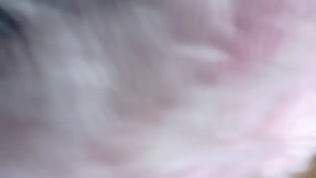 candymia68 online show from September 21, 1:04 am