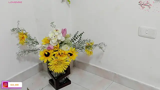 aysel elid online show from December 4, 1:41 am