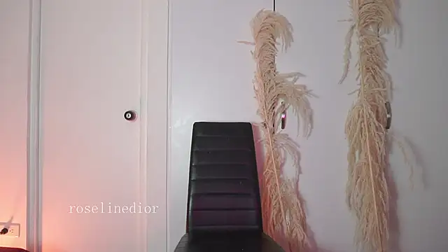 roselinedior online show from January 14, 3:06 pm