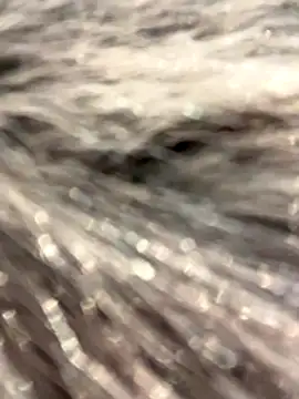 StasyWood online show from November 28, 2:14 am