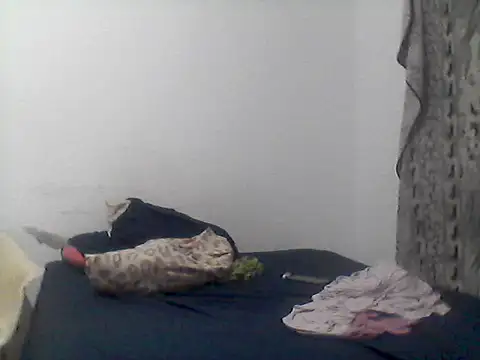 Snapshot of mariy_ chatting on October 16, 12:35 am mariy  online show from October 16, 12:35 am