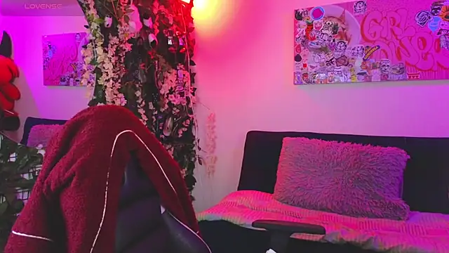 Dann dan online show from February 6, 5:00 am