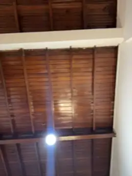 emiss  online show from February 8, 4:00 pm