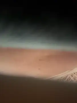 eveangelll online show from April 1, 9:32 am